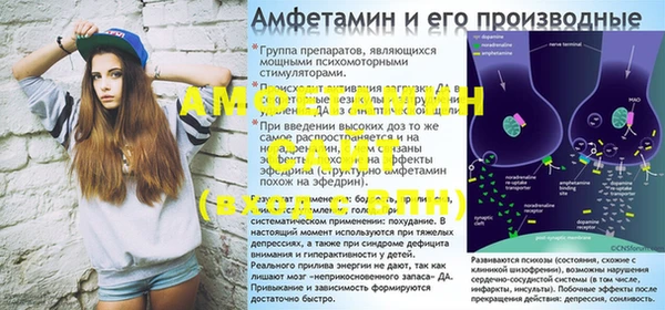крисы Абаза