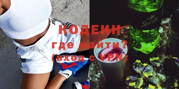 крисы Абаза