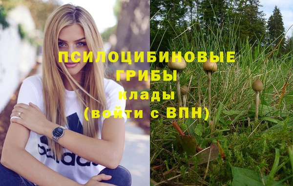 крисы Абаза