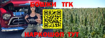 первитин Камышлов